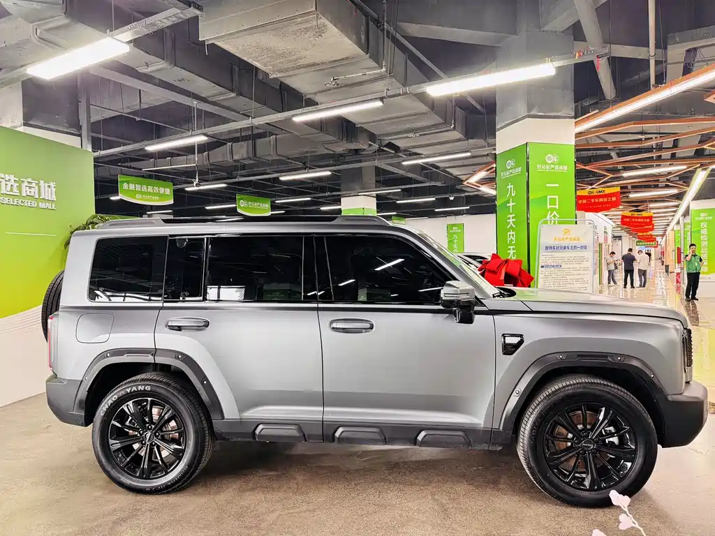 Haval Menglong NEV Hi4 105 Pro LFP