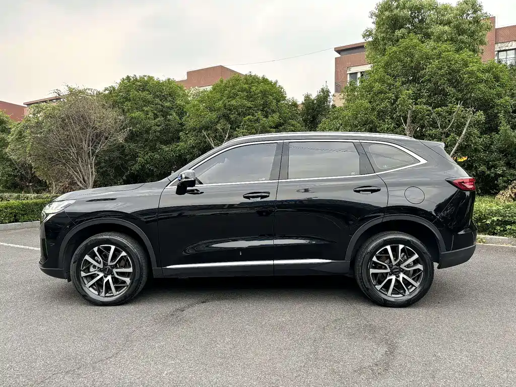 Haval H6 3 rd Gen 1.5 T Auto 2 WD Pro