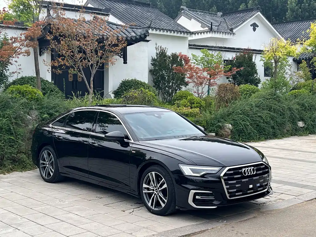 Audi A6 L 40 TFSI Luxury Dynamic