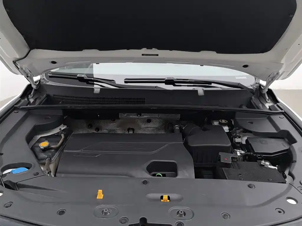 Vision X6 1.3 T CVT Flagship
