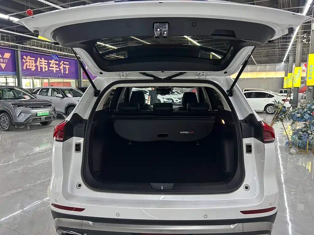 Haval H6 China Style 1.5 GDIT Auto Champion