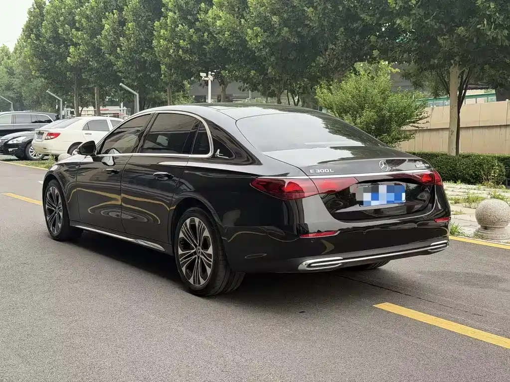 Mercedes-Benz E-Class E 300 L Luxury
