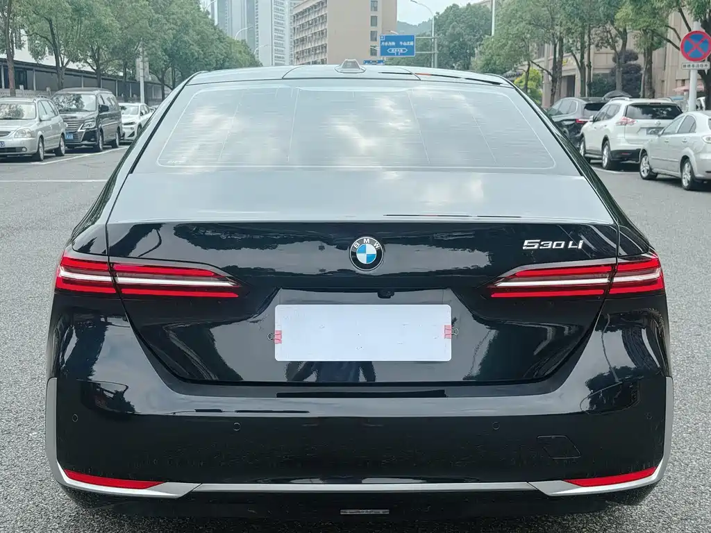 BMW 5 Series 530 Li Leading M Sport Package