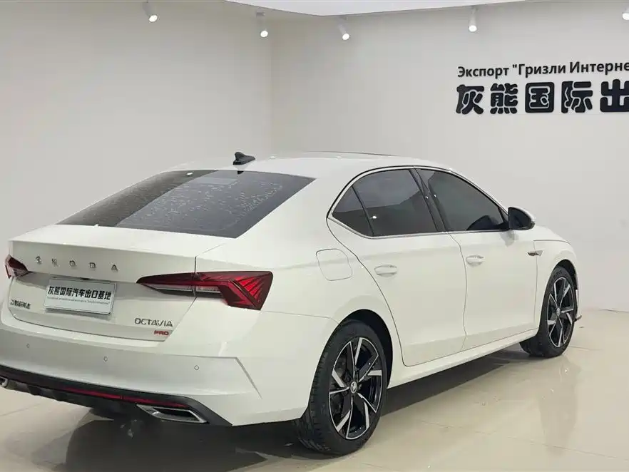 Octavia PRO TSI280 Luxury Enjoyment