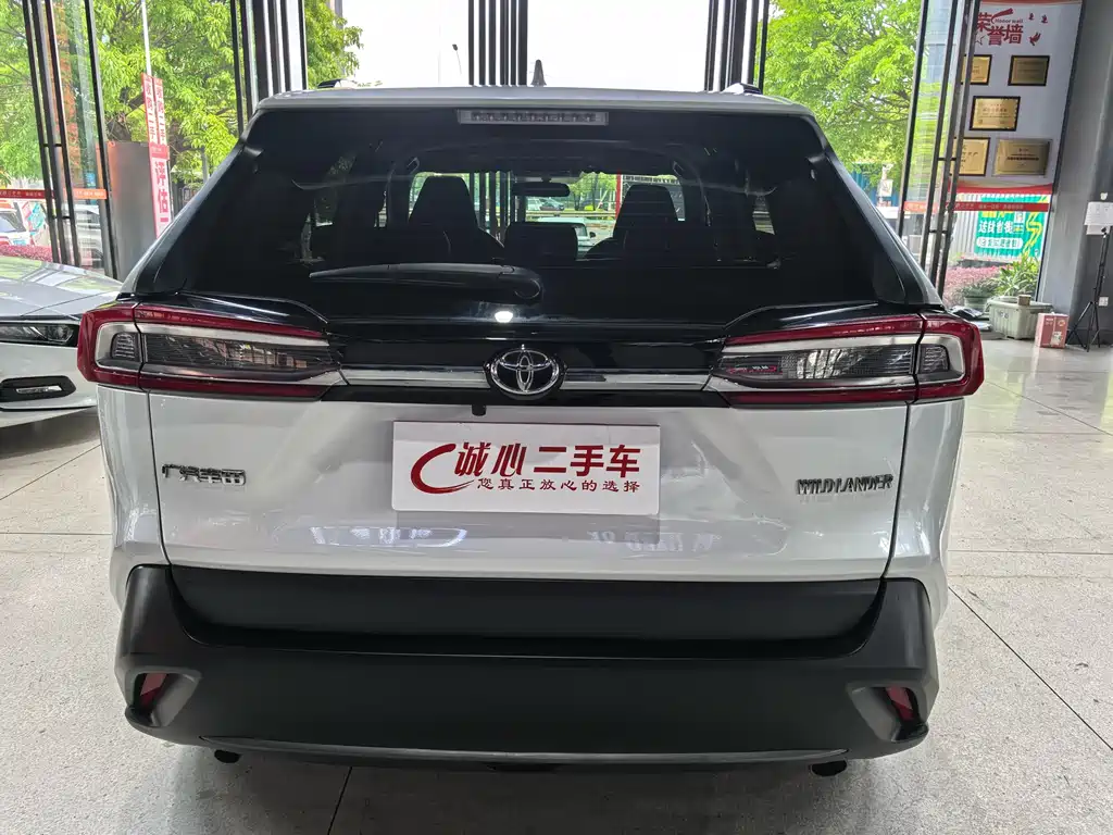 Wildlander 2.0 L CVT 2 WD Leading