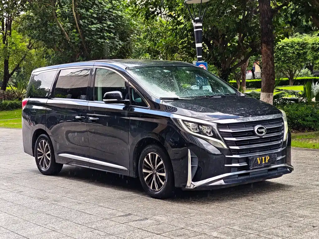 GAC Trumpchi M8 Leading Show Series 390 T Premium