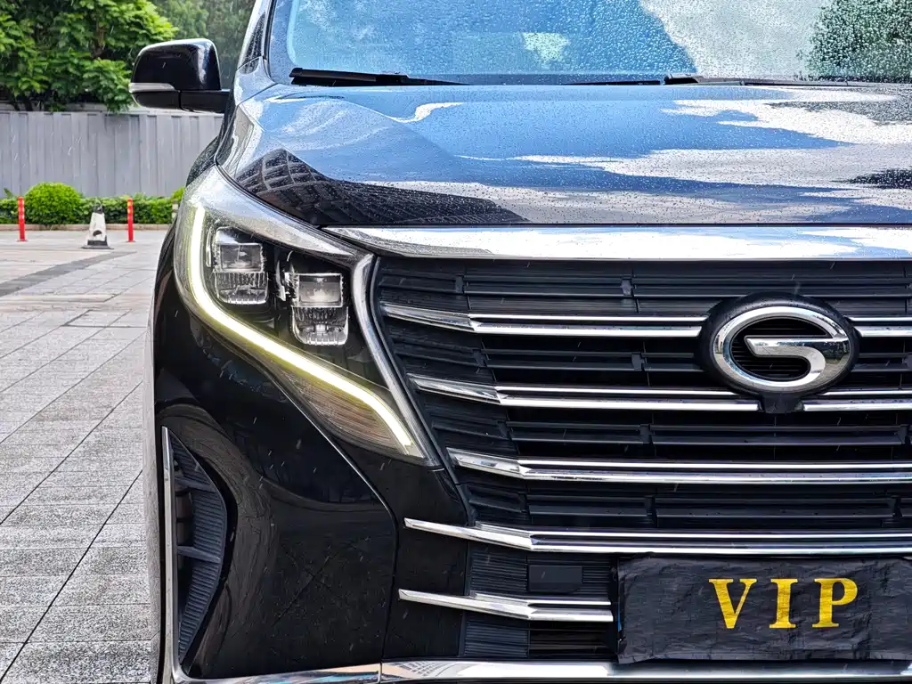 GAC Trumpchi M8 Leading Show Series 390 T Premium