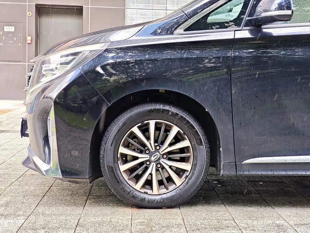 GAC Trumpchi M8 Leading Show Series 390 T Premium