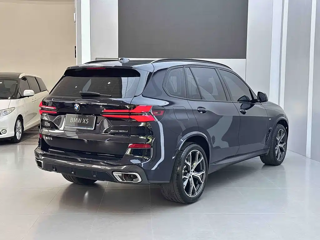BMW X5 xDrive 30 Li Premium M Sport Night Package