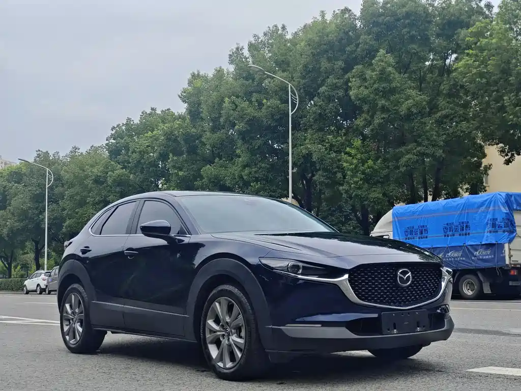 Mazda CX-30 2.0 L Auto Elegant Joy