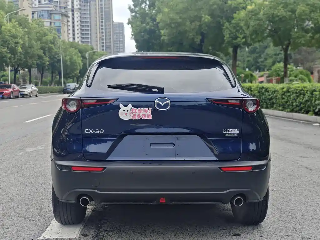 Mazda CX-30 2.0 L Auto Elegant Joy