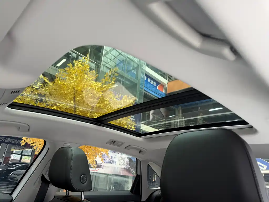 Sagitar 280 TSI DSG Transcend