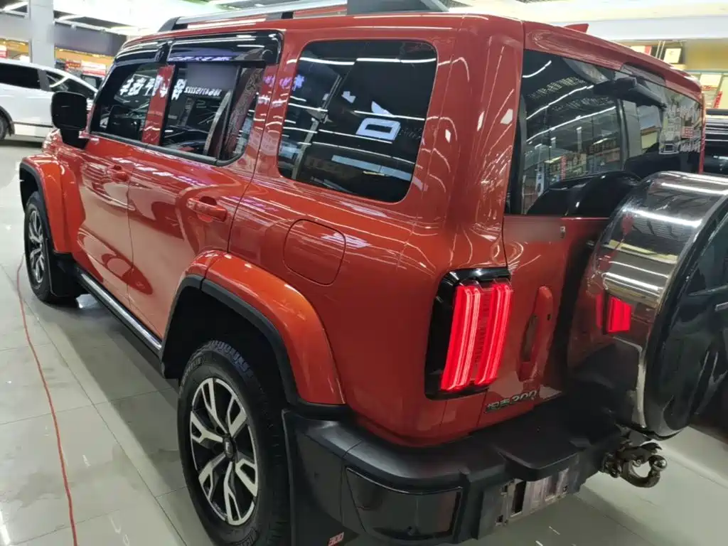 Tank 300 2.0 T Cross