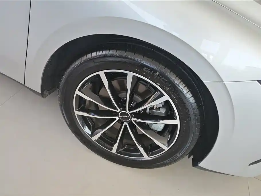 Roewe D7 DMH 125 km World Champion