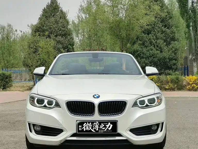 BMW 2 Series (Import) 218 i Convertible Coupe