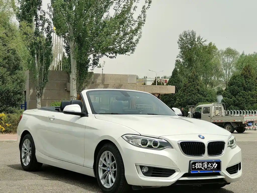 BMW 2 Series (Import) 218 i Convertible Coupe