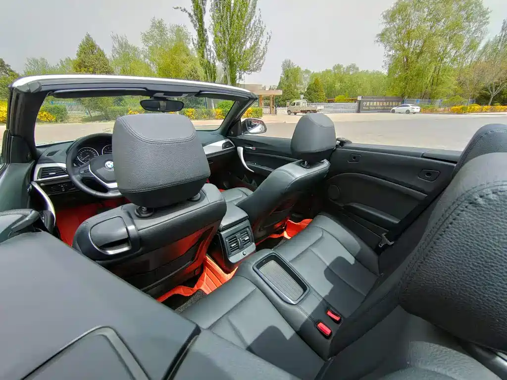 BMW 2 Series (Import) 218 i Convertible Coupe