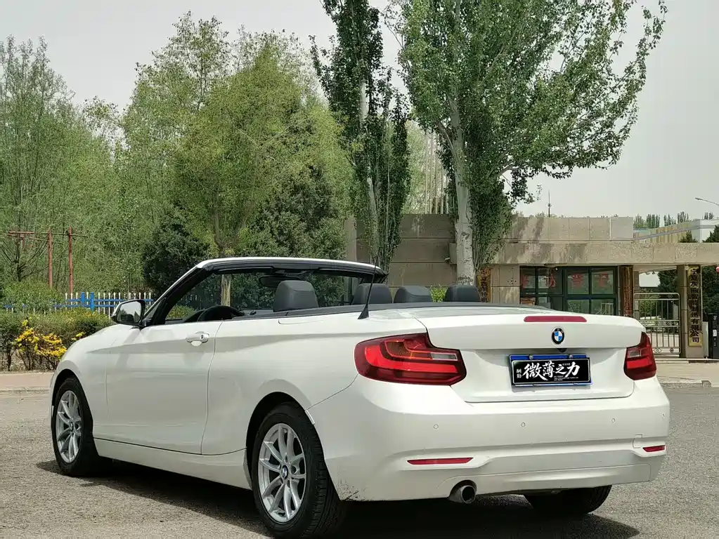 BMW 2 Series (Import) 218 i Convertible Coupe