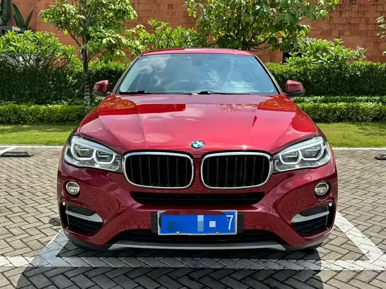 BMW X6 xDrive35 i Leading