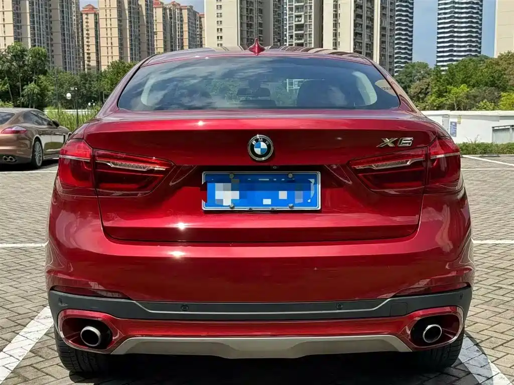 BMW X6 xDrive35 i Leading