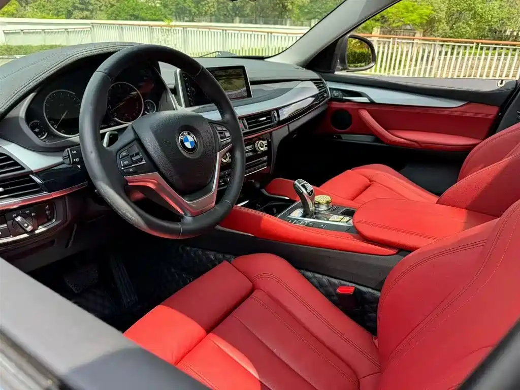 BMW X6 xDrive35 i Leading