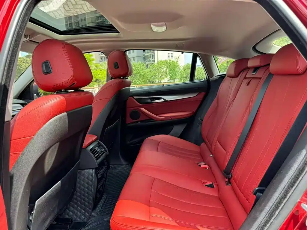 BMW X6 xDrive35 i Leading