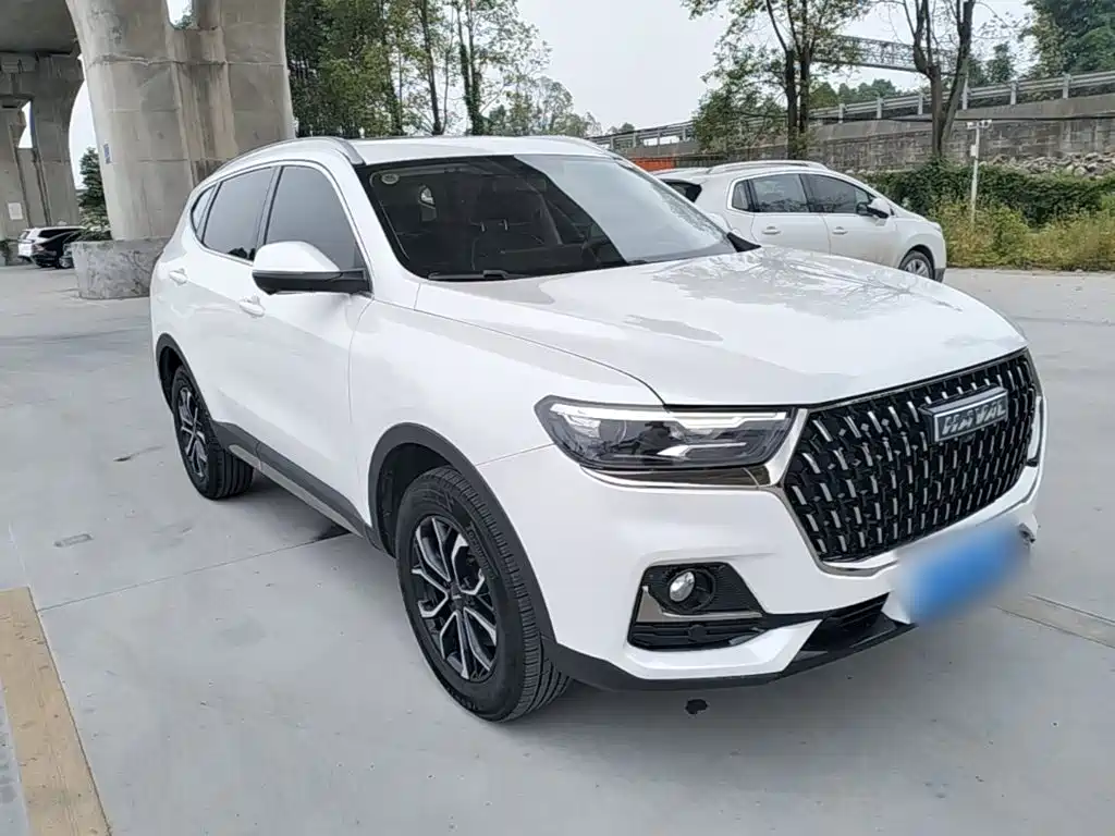 Haval H6 China Style 1.5 T Auto Urban