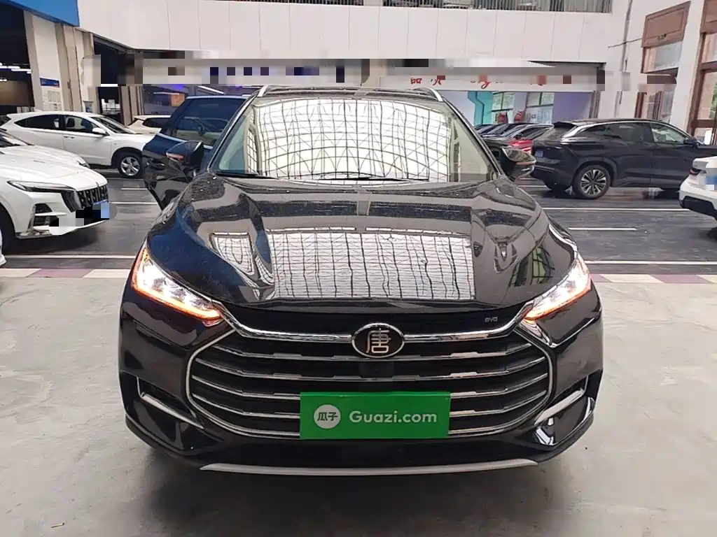 Tang 2.0 T Auto Connected Honored 7-seat CN-V