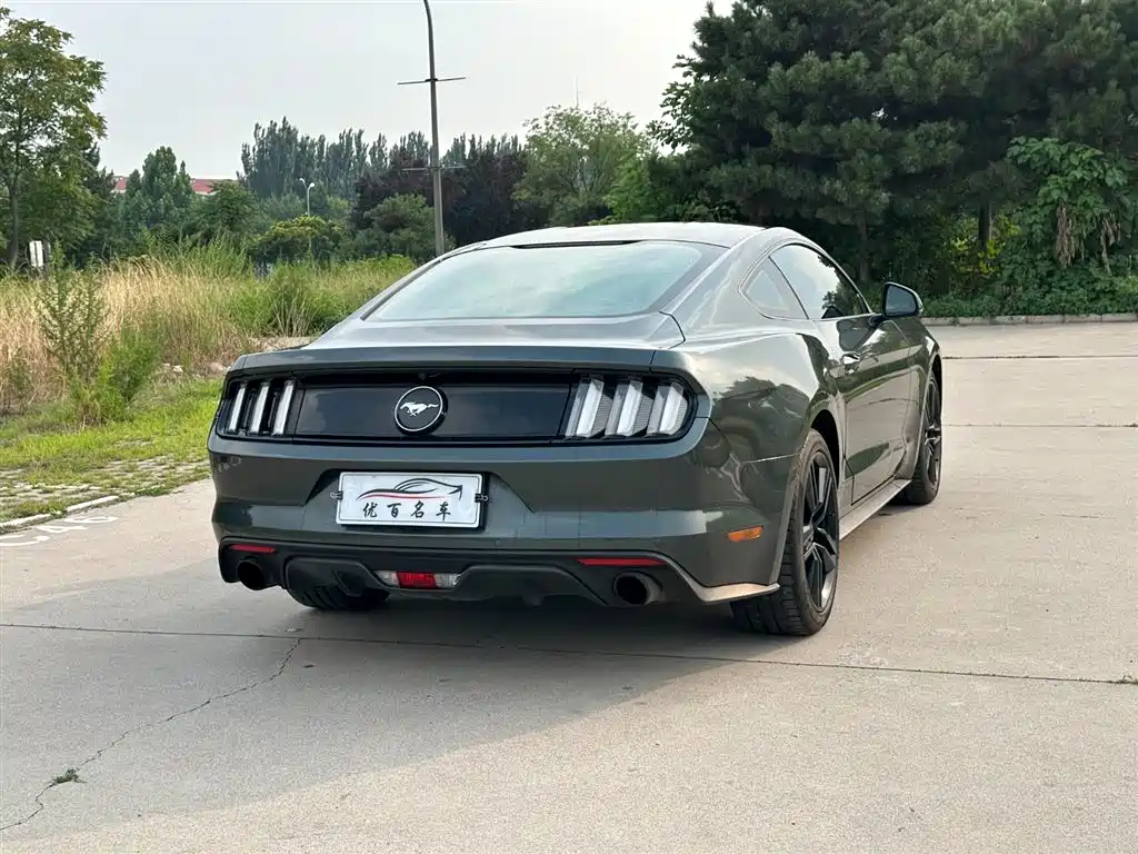 Mustang 2.3 T Performance