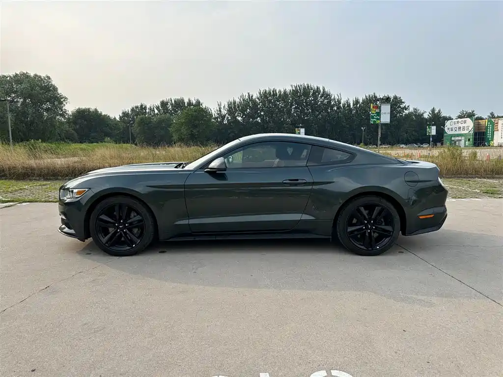 Mustang 2.3 T Performance