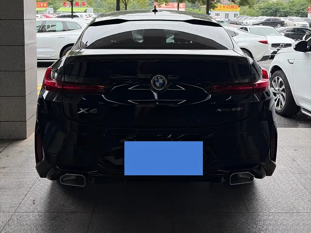 BMW X4 xDrive 25 i M Sport Package