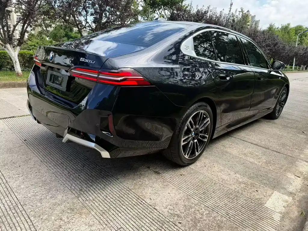 BMW 5 Series 530 Li Leading M Sport Package