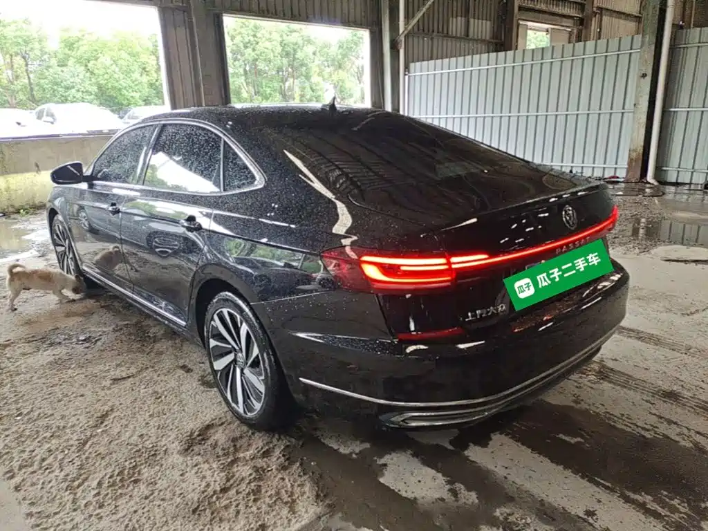 Passat 330 TSI Starry Sky Elite