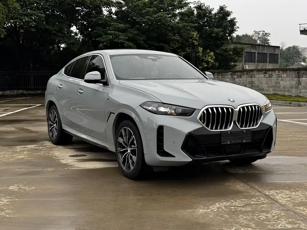 BMW X6 xDrive30 i M Sport Package
