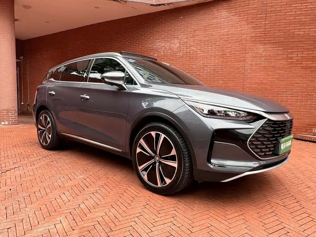 Tang NEV DM-p 215 KM 4 WD Flagship