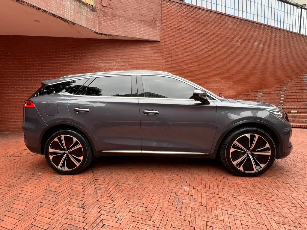 Tang NEV DM-p 215 KM 4 WD Flagship