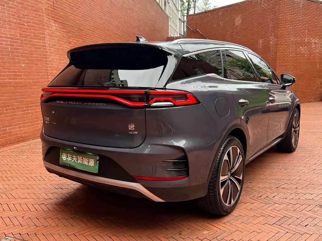 Tang NEV DM-p 215 KM 4 WD Flagship