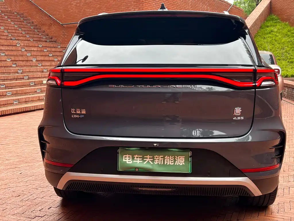 Tang NEV DM-p 215 KM 4 WD Flagship