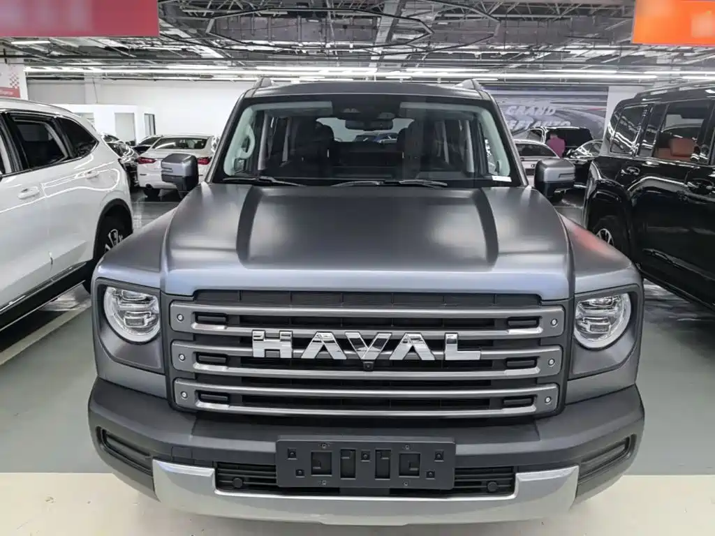 Haval Menglong NEV Hi4 145 Cross