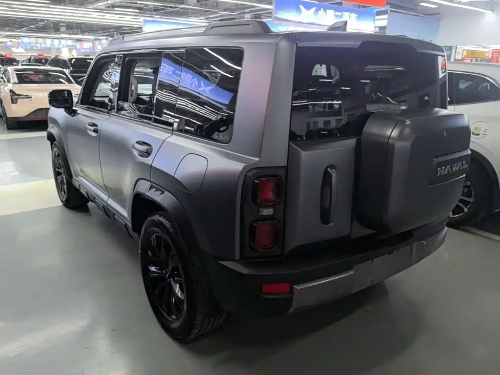 Haval Menglong NEV Hi4 145 Cross