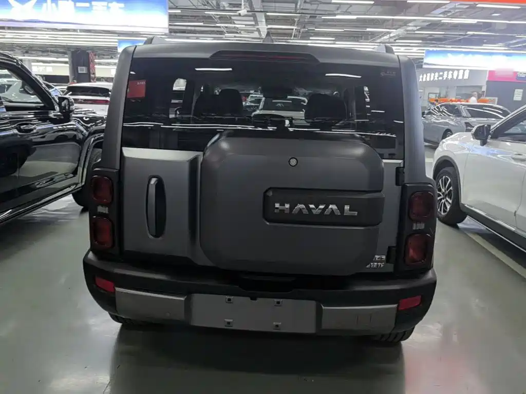 Haval Menglong NEV Hi4 145 Cross