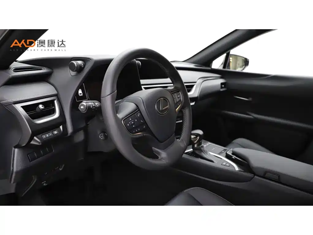 Lexus UX 雷克萨斯UX260 h/2.0/20款/改款 探·享版