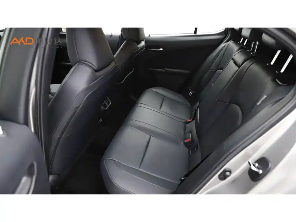 Lexus UX 雷克萨斯UX260 h/2.0/20款/改款 探·享版