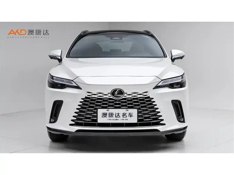 Lexus RX 雷克萨斯RX350 h/2.5/25款/两驱舒享版