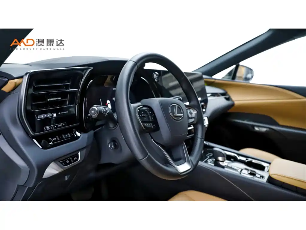 Lexus RX 雷克萨斯RX350 h/2.5/25款/两驱舒享版