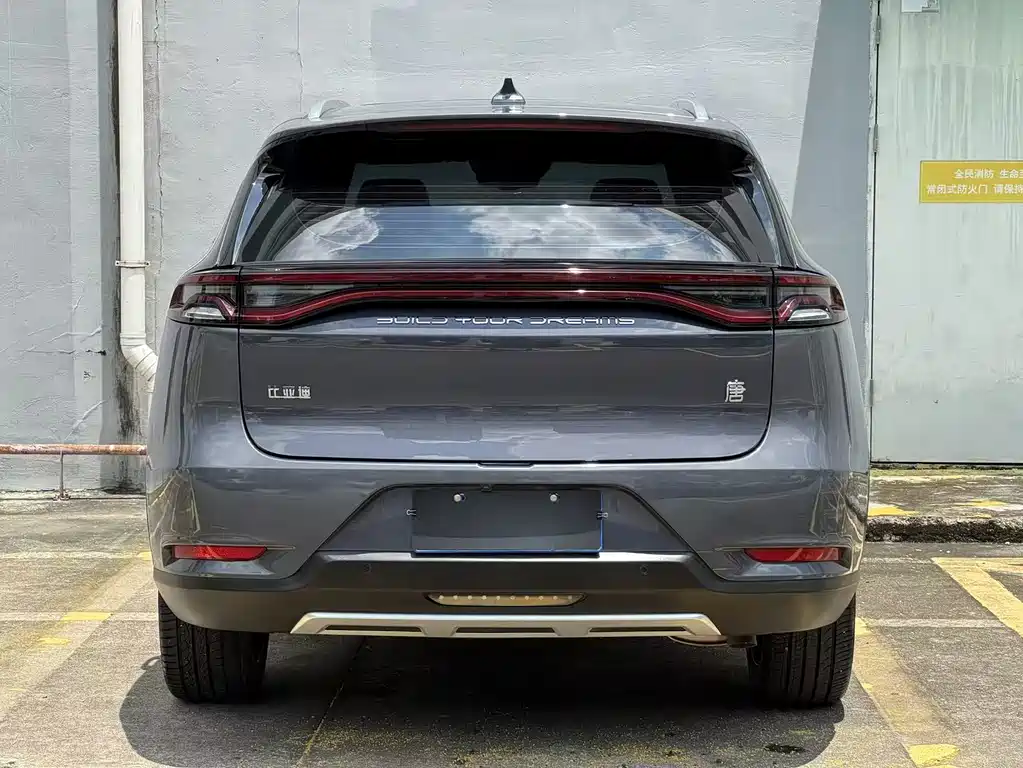 Tang 2.0 T Auto Flagship