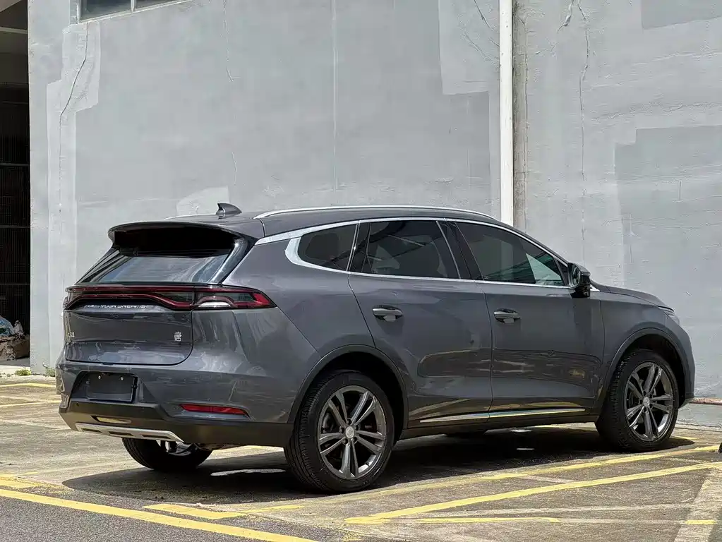 Tang 2.0 T Auto Flagship