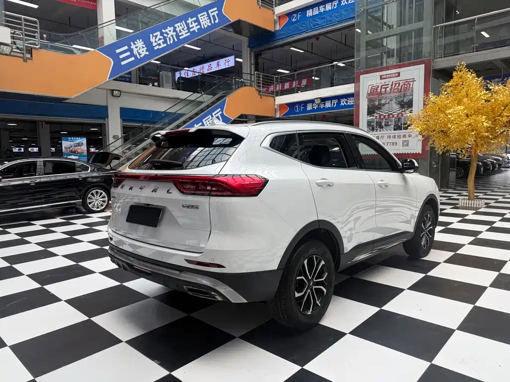 Haval H6 China Style 1.5 T Auto Urban