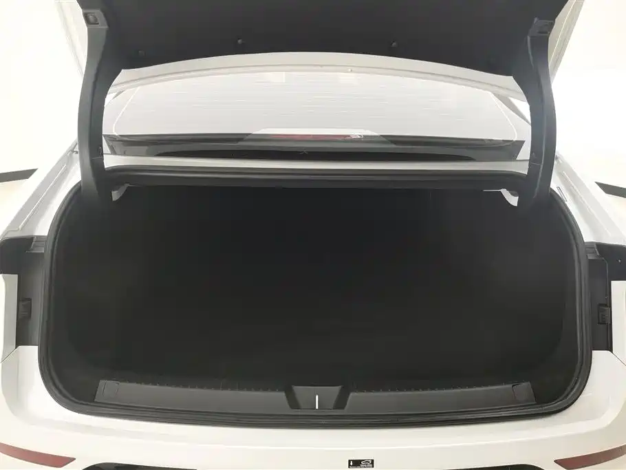 Wuling Starlight 70 km Intelligent Standard