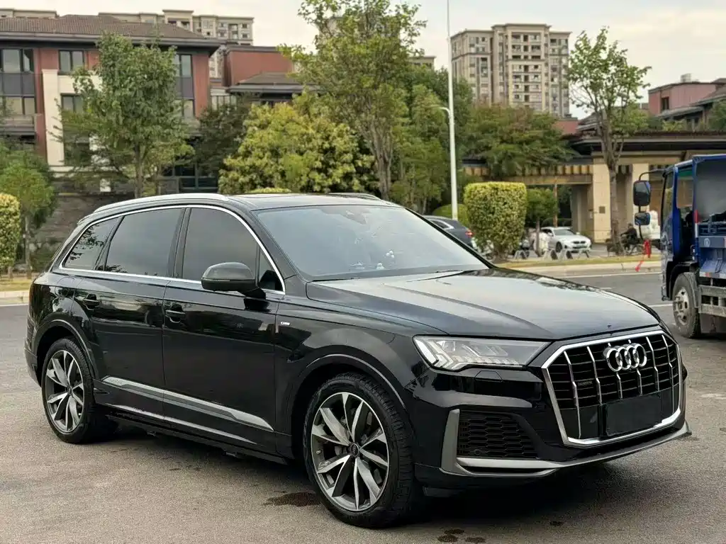 Audi Q7 55 TFSI quattro S line Ice Snow Sport